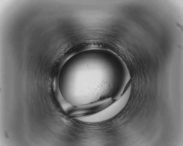 X0000096220750200801251056