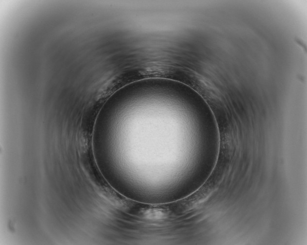 X0000096220751200801251056