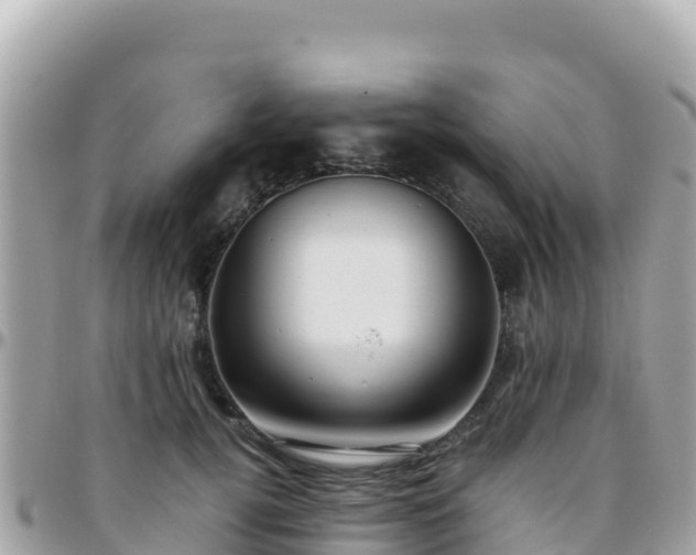 X0000096220752200801251056