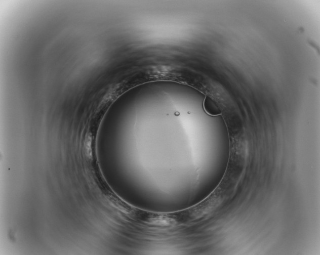 X0000096220754200801251056