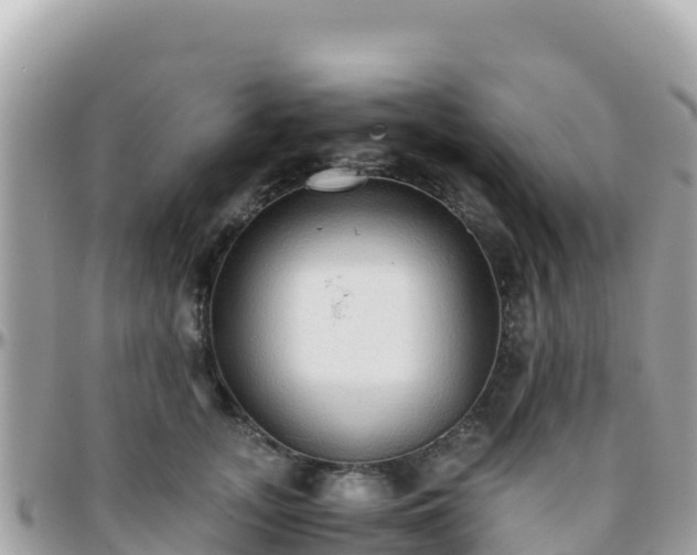 X0000096220755200801251056