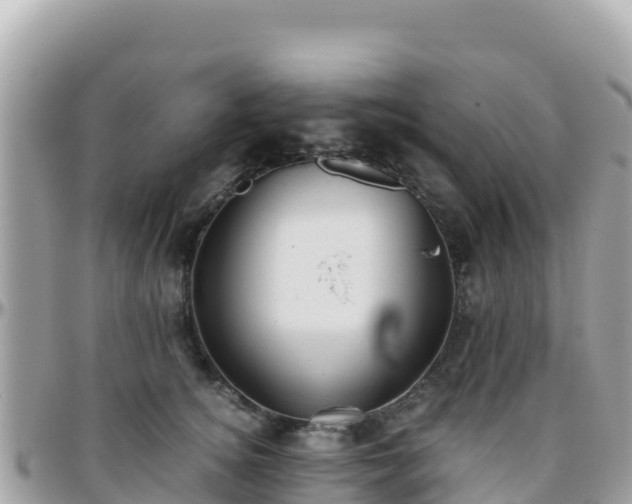 X0000096220756200801251056