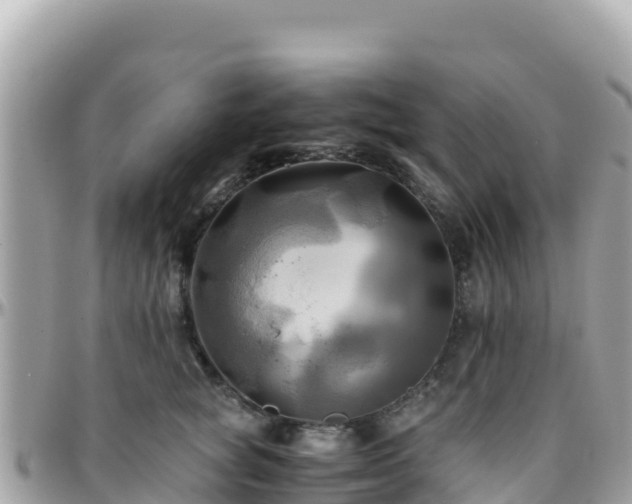 X0000096220757200801251056