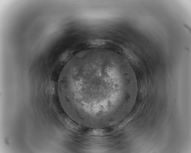 X0000096220758200801251056