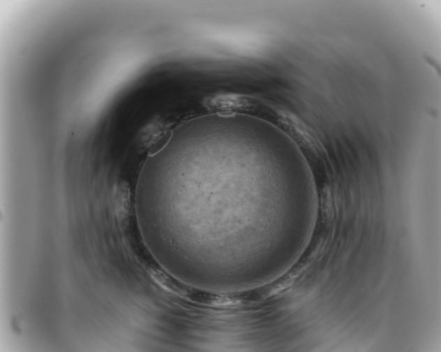 X0000096220760200801251056