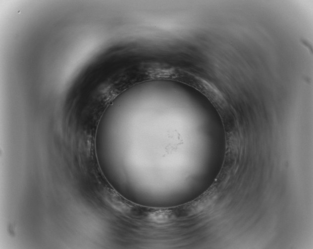 X0000096220761200801251056