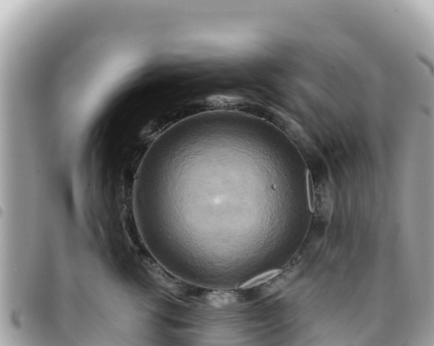 X0000096220762200801251056