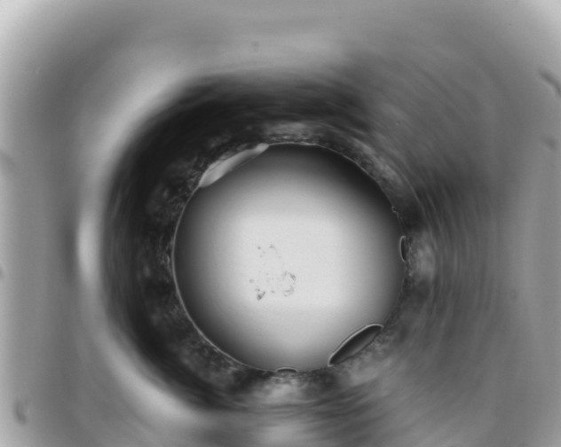 X0000096220764200801251056