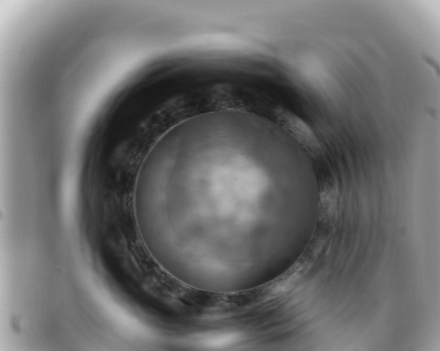 X0000096220765200801251056