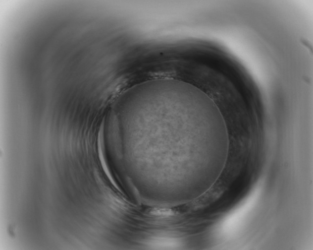 X0000096220767200801251056