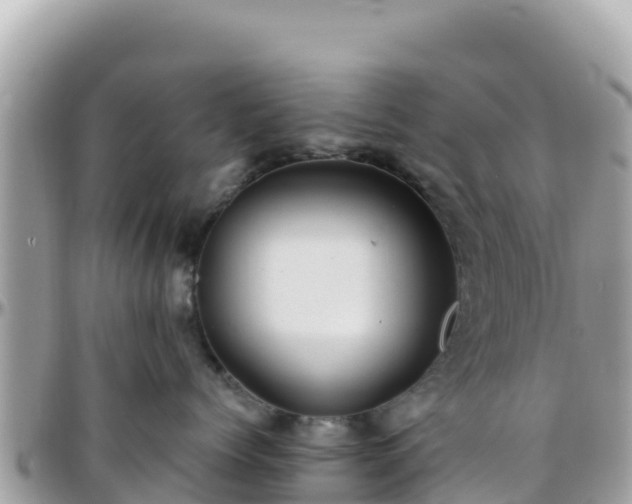 X0000096220768200801251056