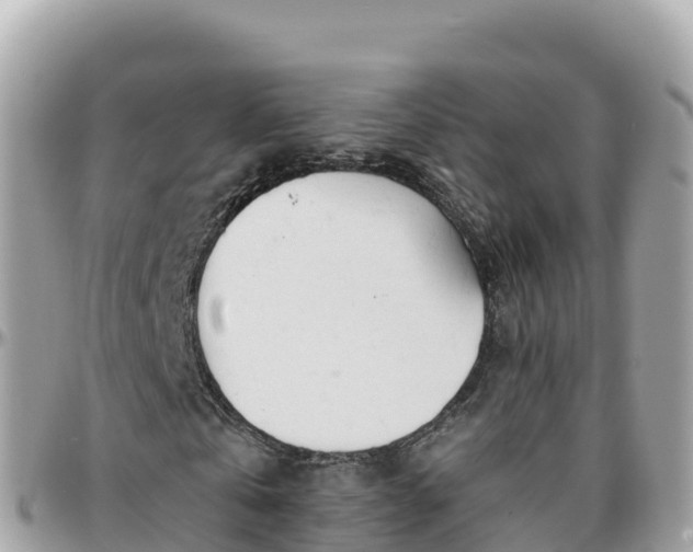 X0000096220769200801251056