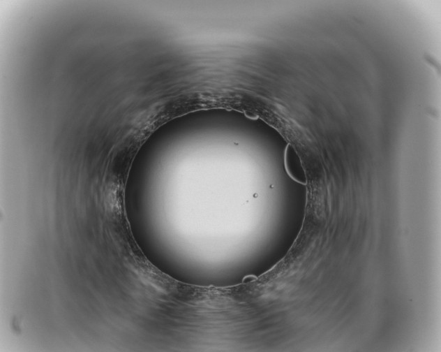 X0000096220770200801251056