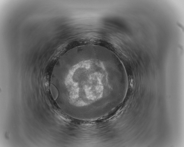 X0000096220771200801251056