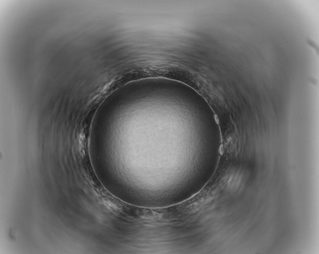 X0000096220772200801251056