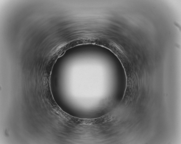 X0000096220773200801251056