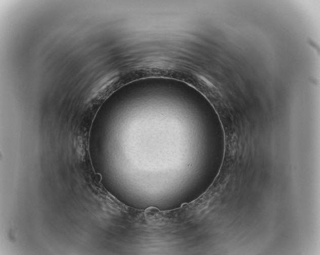 X0000096220774200801251056