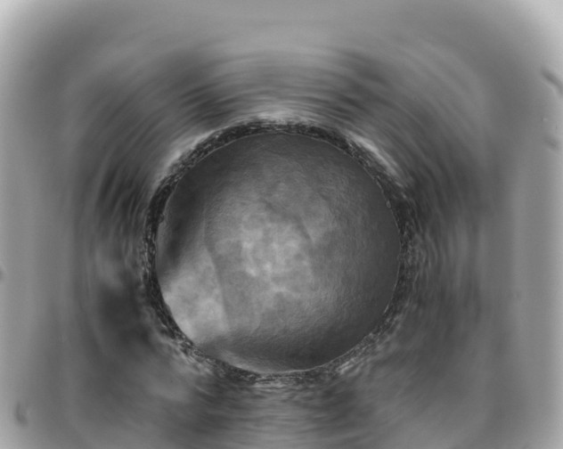 X0000096220776200801251056