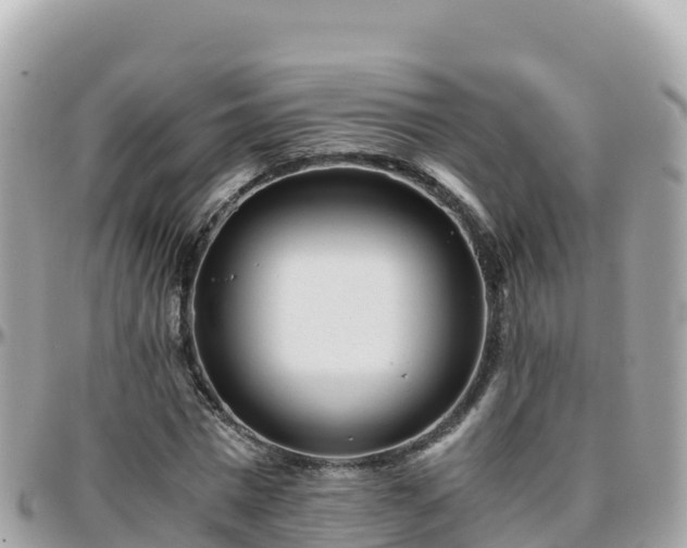 X0000096220777200801251056