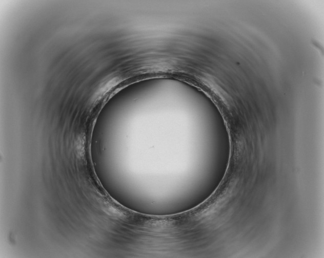 X0000096220778200801251056