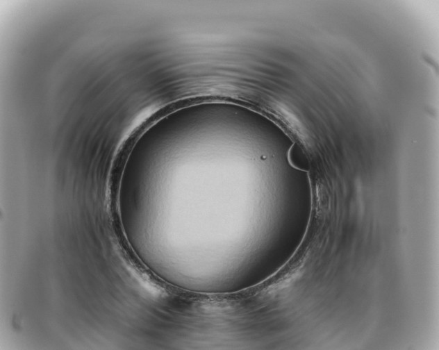 X0000096220780200801251056