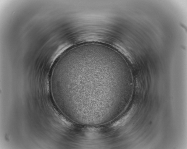 X0000096220782200801251056