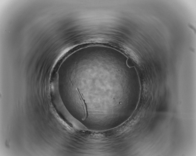 X0000096220784200801251055