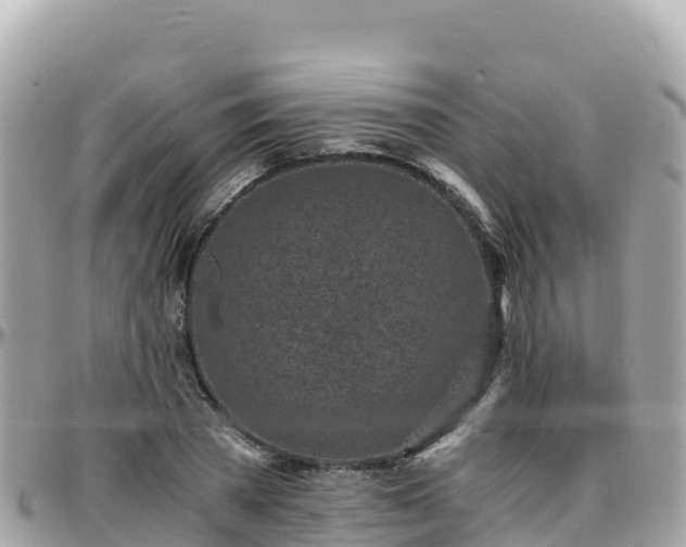 X0000096220785200801251055