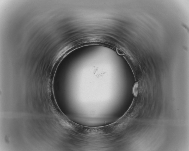 X0000096220786200801251055