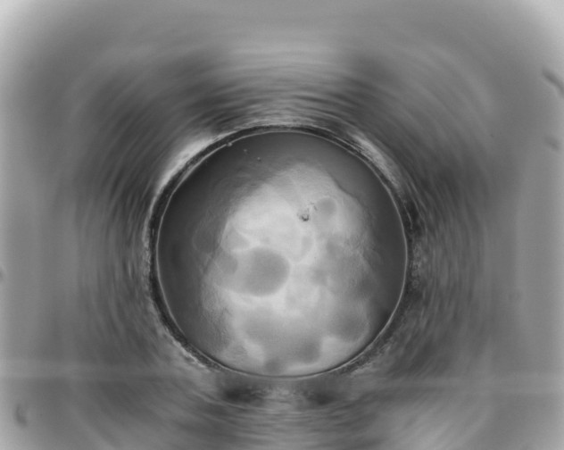 X0000096220787200801251055