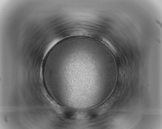 X0000096220788200801251055