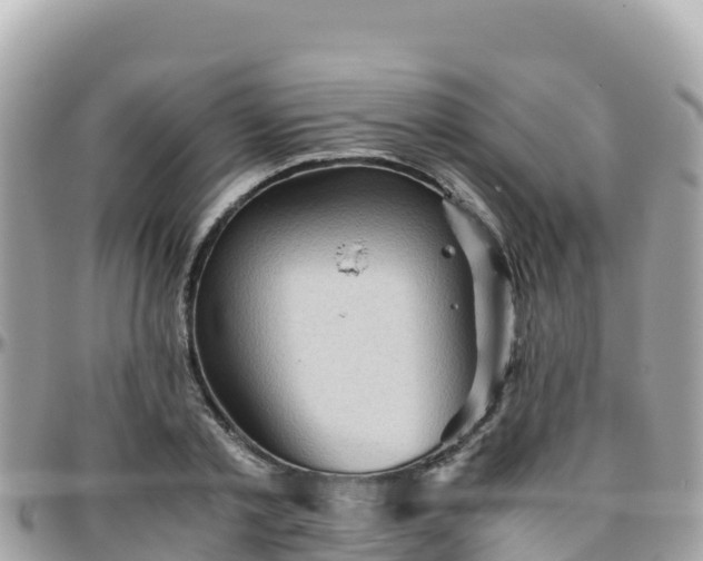 X0000096220789200801251055