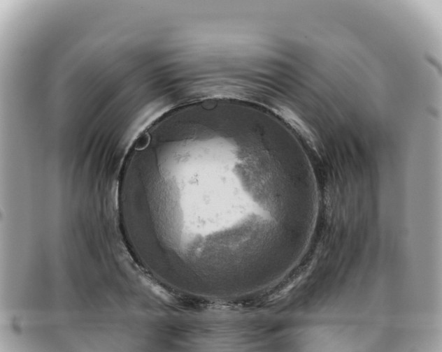 X0000096220790200801251055