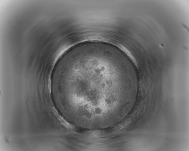 X0000096220791200801251055