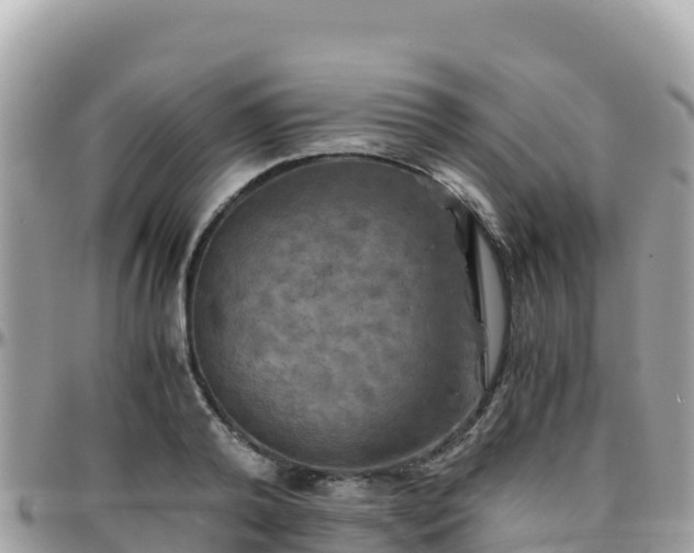 X0000096220792200801251055