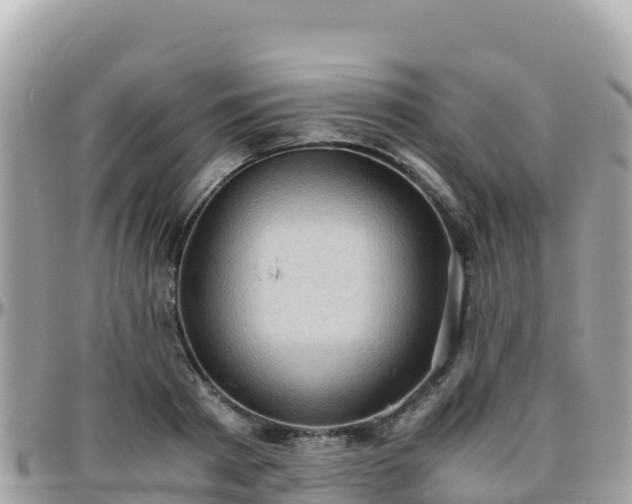 X0000096220793200801251055