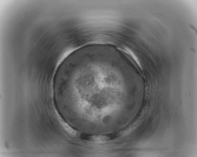 X0000096220795200801251055