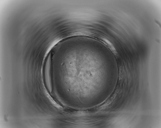 X0000096220796200801251055