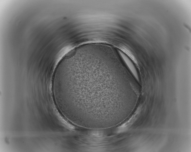 X0000096220797200801251055