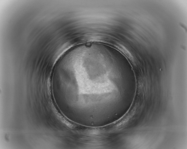 X0000096220798200801251055