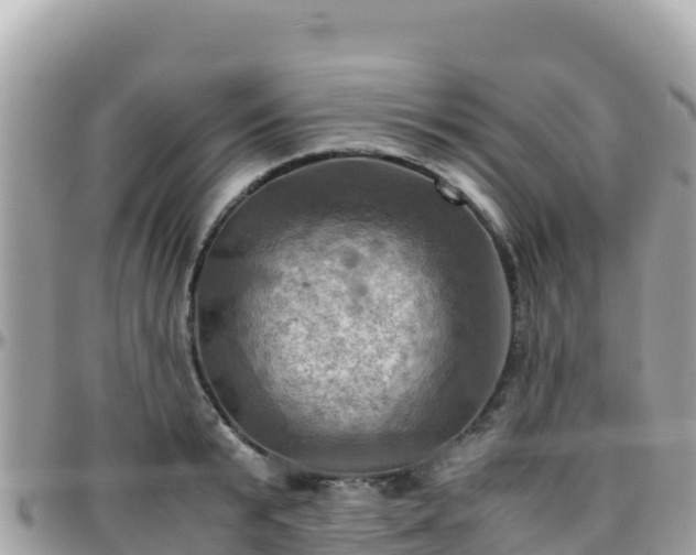 X0000096220799200801251055