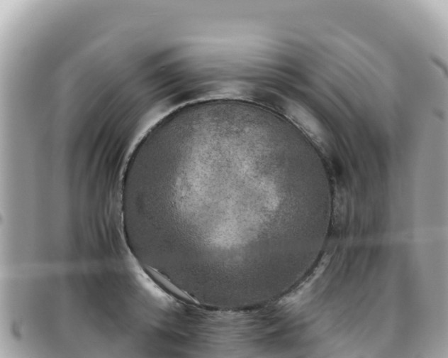 X0000096220800200801251055