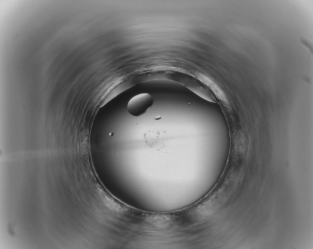 X0000096220801200801251055