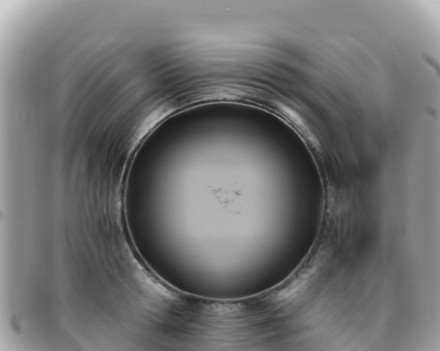 X0000096220802200801251055