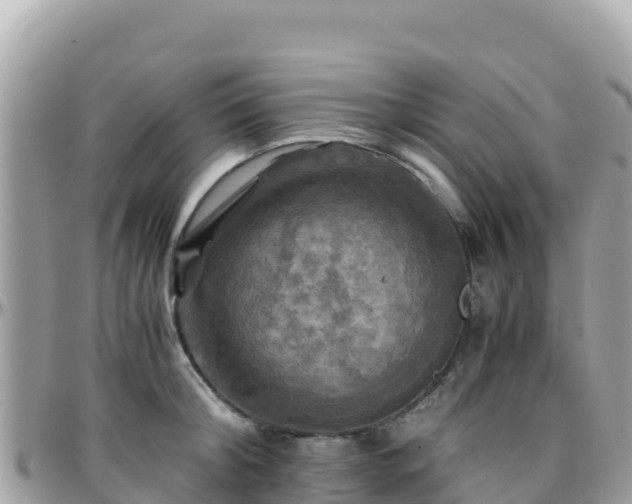 X0000096220804200801251055