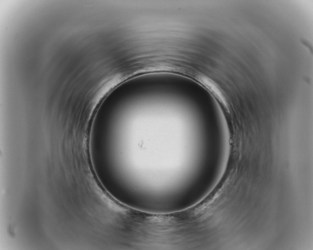 X0000096220805200801251055