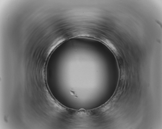 X0000096220806200801251055