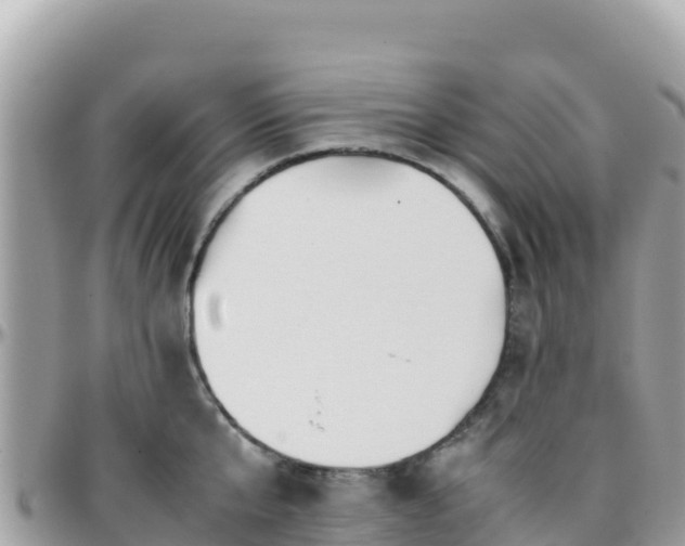 X0000096220807200801251055