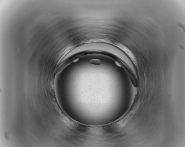 X0000096220809200801251055