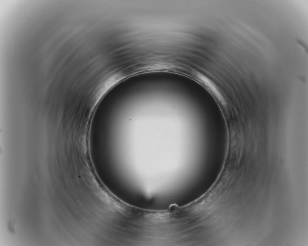 X0000096220810200801251055